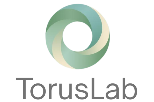 TorusLab
